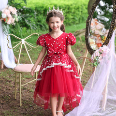 Flower Girl Dress Birthday Princess Party Holiday Wedding Dresses Trailing