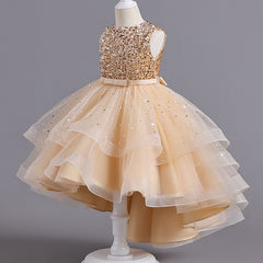 Wedding Dress Lace Sequin Flower Girl Dress Sequins Princess Dress Birthday Costume Party Holiday