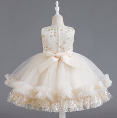 Wedding Dress Lace Bow Flower Girl Dress Sequins Princess Dress Birthday Costume Party Dress Holiday