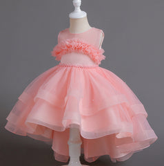 Flower Girl Dress Wedding Dress Lace Pearl Princess Dress Birthday Costume Party Holiday