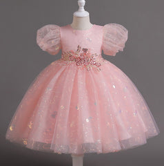 Flower Girl Dress Sequins Puff Wedding Dress Princess Dress Birthday Costume Party Dress Holiday