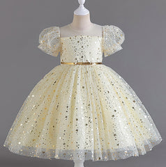 Wedding Dress Puff Flower Girl Dress Sequins Princess Dress Birthday Costume Party Dress Holiday