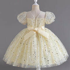Wedding Dress Puff Flower Girl Dress Sequins Princess Dress Birthday Costume Party Dress Holiday