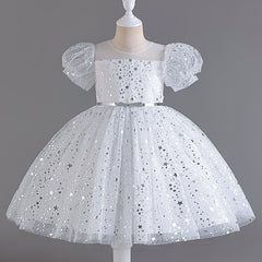 Wedding Dress Puff Flower Girl Dress Sequins Princess Dress Birthday Costume Party Dress Holiday