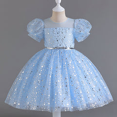 Wedding Dress Puff Flower Girl Dress Sequins Princess Dress Birthday Costume Party Dress Holiday