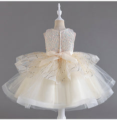 Flower Girl Dress Sequins Wedding Dress Princess Dress Birthday Costume Party Dress Holiday