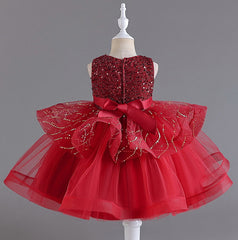 Flower Girl Dress Sequins Wedding Dress Princess Dress Birthday Costume Party Dress Holiday