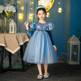Girl Costume Dress Elsa Anna New  Cosplay Party Holiday Wedding Dress Birthday