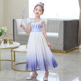 Frozen 2 Elsa Princess Girl Costume Dresses For Holiday Party
