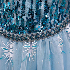 Frozen 2 Girls Princess Tulle Cosplay Costume Elsa Dresses For Party Holidays