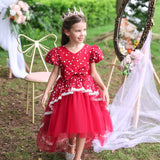 Flower Girl Dress  Birthday Princess Party Holiday Wedding Dresses Trailing