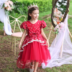 Flower Girl Dress  Birthday Princess Party Holiday Wedding Dresses Trailing