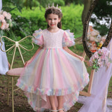 Flower Girl Dress  Birthday Holiday Wedding Dresses Trailing Princess Party Rainbow