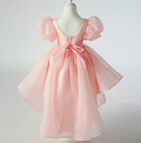 Flower Girl Dress Puff Wedding Dress Bow Sequins Princess Dress Birthday Costume Party Holiday (Copy)