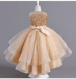 Wedding Dress Lace Sequin Flower Girl Dress Sequins Princess Dress Birthday Costume Party Holiday