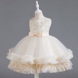 Wedding Dress Lace Bow Flower Girl Dress Sequins Princess Dress Birthday Costume Party Dress Holiday