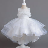 Flower Girl Dress Wedding Dress Lace Pearl Princess Dress Birthday Costume Party Holiday