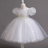 Flower Girl Dress Sequins Puff Wedding Dress Princess Dress Birthday Costume Party Dress Holiday