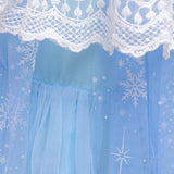 Elsa Anna Girl Costume Dress New Cosplay Party Holiday Wedding Dress Birthday Halloween