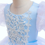Cinderella Princess New Girls Dresses Costume Princess Cosplay Party Holiday Wedding
