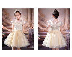 Flower Girl Dress Wedding Dress Sequins Princess Dress Birthday Costume Party Holiday