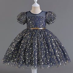 Wedding Dress Puff Flower Girl Dress Sequins Princess Dress Birthday Costume Party Dress Holiday
