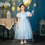 Anna Elsa New Girl Costume Dress Cosplay Party Holiday Wedding Dress