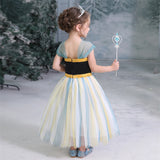 Frozen Princess Anna Costumes Girl Tulle Dresses For Birthday Holiday Party