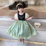 Frozen Princess Anna Costumes Girl Tulle Dresses For Birthday Holiday Party Halloween Cosplay
