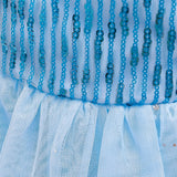 Frozen 2 Elsa Princess Short Slevee Cosplay Costume Dresses with Trailing Cape