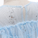 Frozen 2 Elsa Princess Short Slevee Cosplay Costume Dresses with Trailing Cape